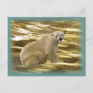 Cartão Postal Brr.....Cartão postal