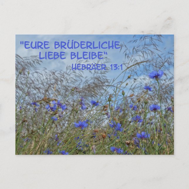 Cartão Postal Brüderliche Liebe (Frente)