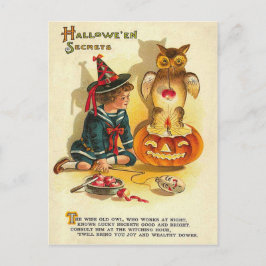 Cartão Postal Bruxa Jack O Lantern Pumpkin
