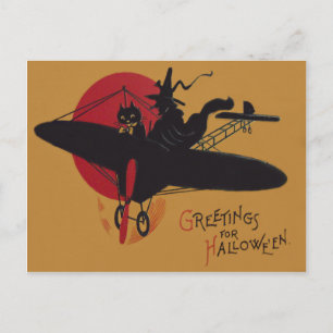 Cartão Postal Bruxa Voadora Gato Preto Avião Lua Cheia