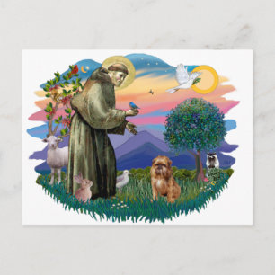 Cartão Postal Bruxelas Griffon (castanho/vermelho)