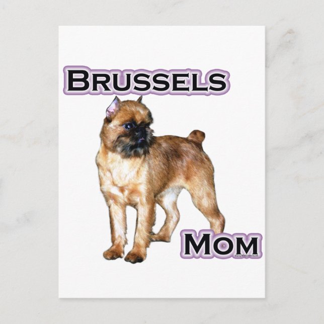 Cartão Postal Bruxelas Griffon Mãe; Mãe de Bruxelas Griffon (Frente)