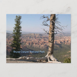 Cartão Postal Bryce Canyon