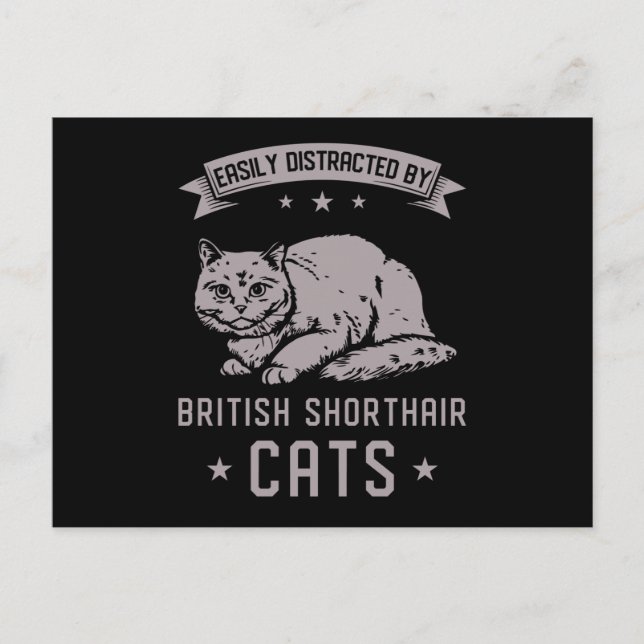 Cartão Postal BSH British Shorthair Cat (Frente)