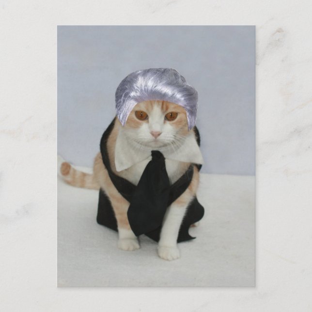 Cartão Postal Bubba do Host do Show de Talk (Frente)