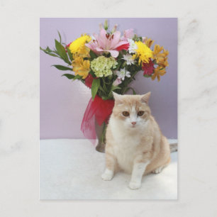 Cartão Postal Bubba por Flores