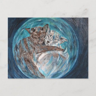 Cartão Postal Bubblecats no ciberespaço