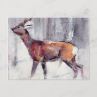 Buck na neve 2000