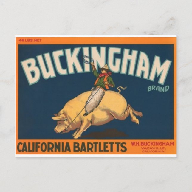 Cartão Postal Buckingham (Frente)