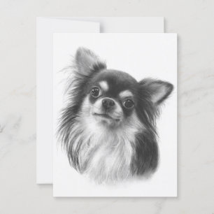 Cartão Postal "Buckis" - Foto Pintada Chihuahua