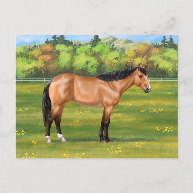 Cartão Postal Buckskin Dun Quarter Horse (Frente)