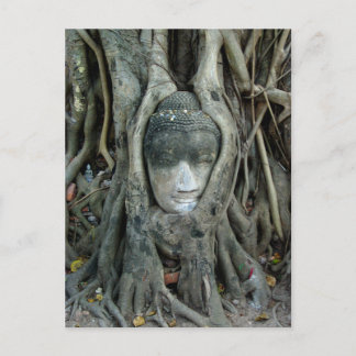 Cartão Postal Buddha Head