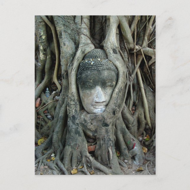 Cartão Postal Buddha Head (Frente)