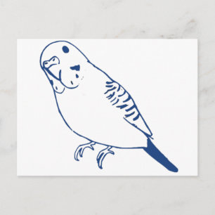 Cartão Postal Budgerigar