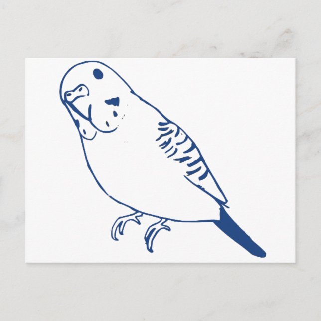Cartão Postal Budgerigar (Frente)