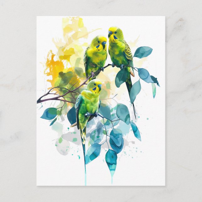 Cartão Postal Budgerigares de aquarela em Eucalyptus Tree (Frente)