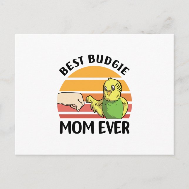 Cartão Postal budgie (Frente)