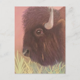 Cartão Postal Buffalo