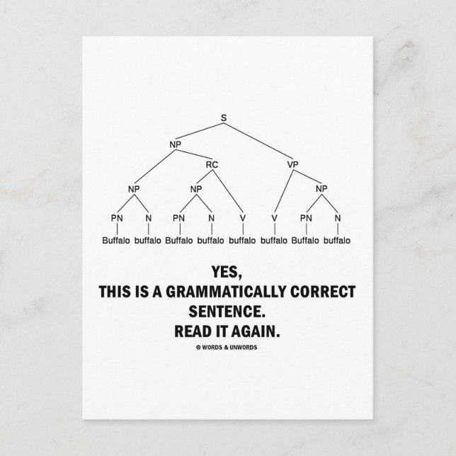 Cartão Postal Buffalo (8 Vezes) Frase Grammaticamente Correta (Frente)