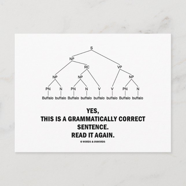 Cartão Postal Buffalo (8 Vezes) Frase Grammaticamente Correta (Frente)