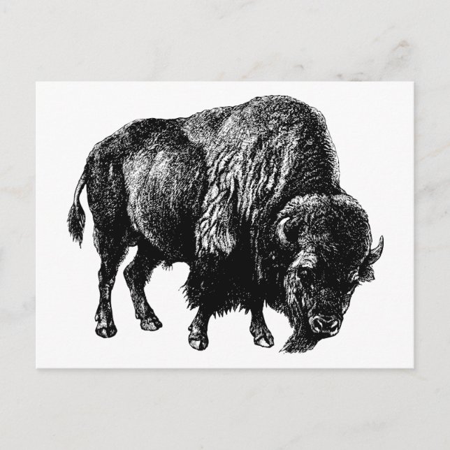 Cartão Postal Buffalo American Bison Vintage Wood Engrenando (Frente)