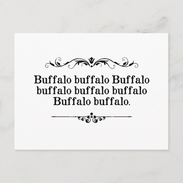 Cartão Postal Buffalo Buffalo Sentença (Frente)