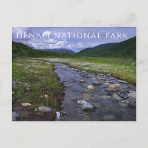 Cartão Postal Buffalo Creek, Parque Nacional da Denali e Reserva