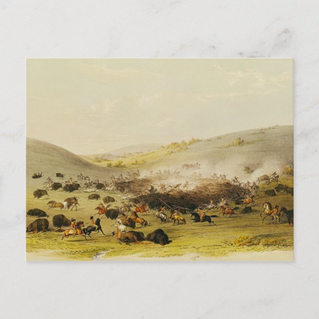 Cartão Postal Buffalo Hunt, Surround, c.1832 (Frente)