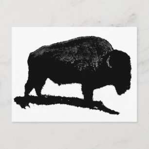 Cartão Postal Buffalo Preto e Branco