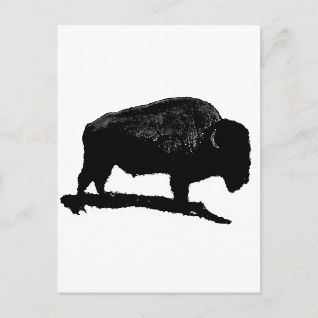 Cartão Postal Buffalo Preto e Branco (Frente)