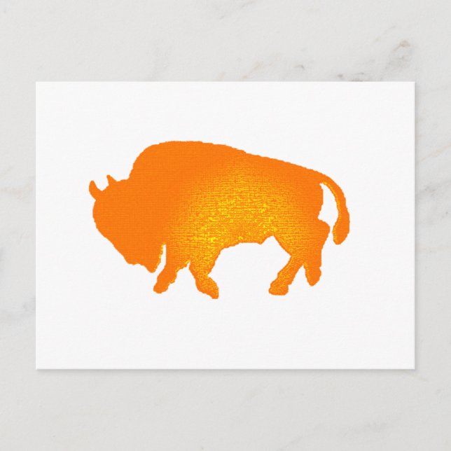 Cartão Postal Buffalo Sun (Frente)