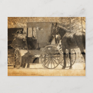 Cartão Postal Buggy Antes Do Cavalo, Amish Traga Para Casa Caval