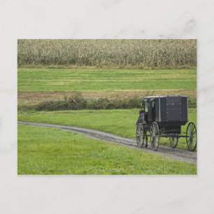 Cartão Postal Bugue Amish em estrada rural, Nordeste de Ohio,