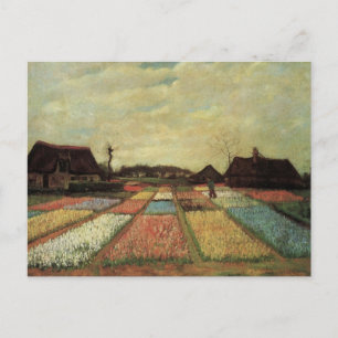 Cartão Postal Bulb Fields por Vincent van Gogh