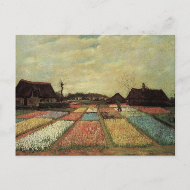 Cartão Postal Bulb Fields por Vincent van Gogh (Frente)
