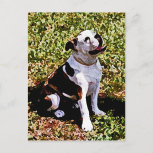 Cartão Postal Buldog Sentado com Boca Aberta