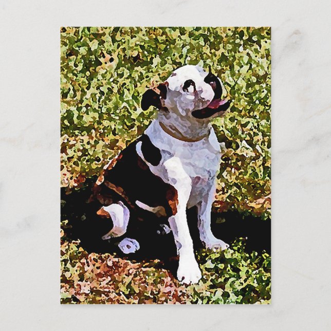 Cartão Postal Buldog Sentado com Boca Aberta (Frente)