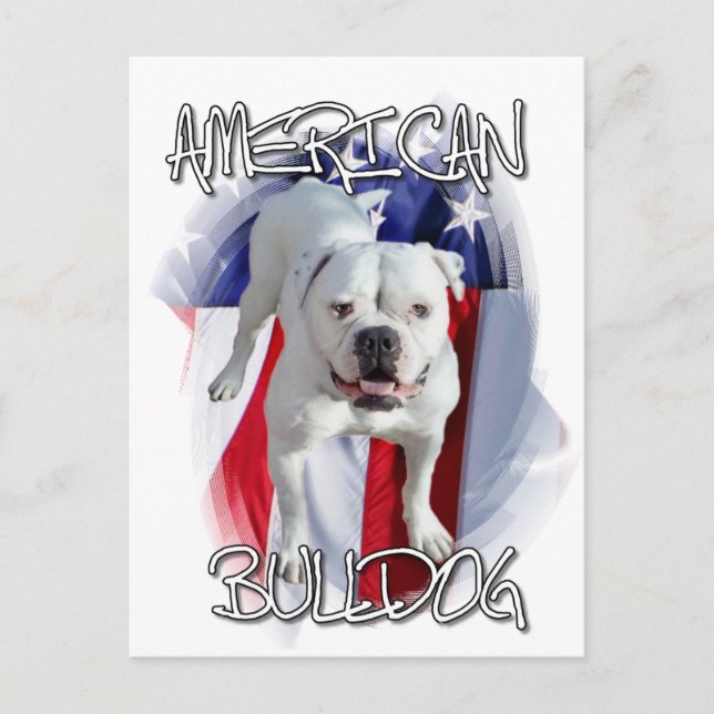 Cartão Postal Buldogue Americano (Frente)