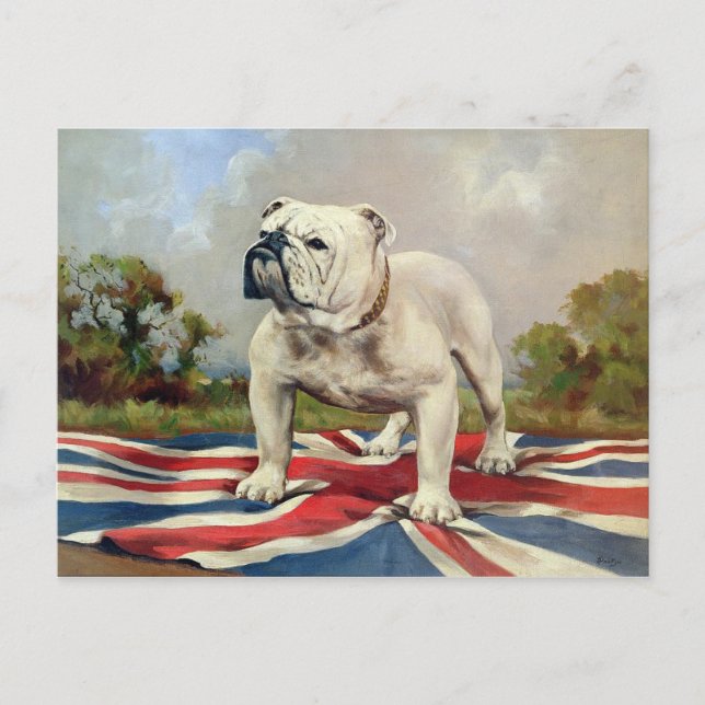 Cartão Postal Buldogue Britânico (Frente)