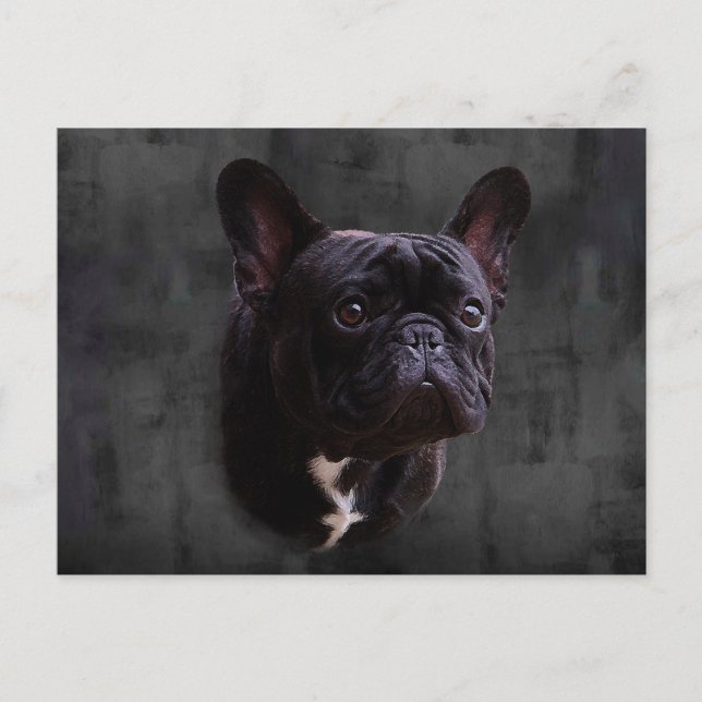 Cartão Postal Buldogue Francês (Frente)