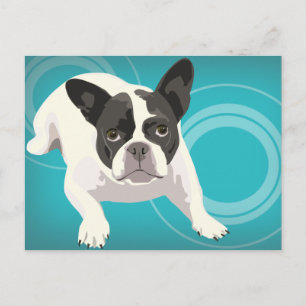 Cartão Postal Buldogue francês branco e preto em azul