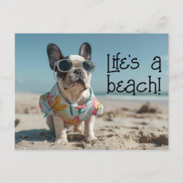 Cartão Postal Buldogue Francês Cachorro Puppia vestindo óculos e