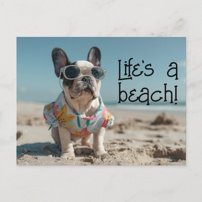 Cartão Postal Buldogue Francês Cachorro Puppia vestindo óculos e (Frente)