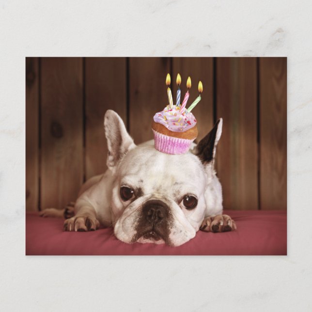 Cartão Postal Buldogue Francês com Cupcake de Aniversário (Frente)