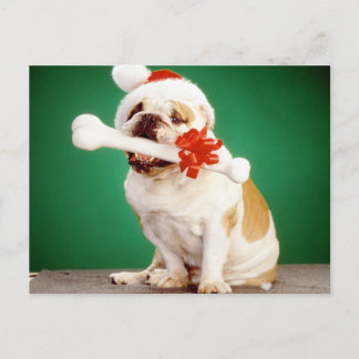 Cartão Postal Buldogue X-mas com chapéu de Natal e osso