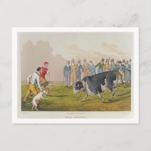 Cartão Postal "Bull Baiting", pub. de Thomas McLean, 1820, (impr