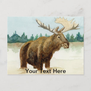 Cartão Postal Bull Moose