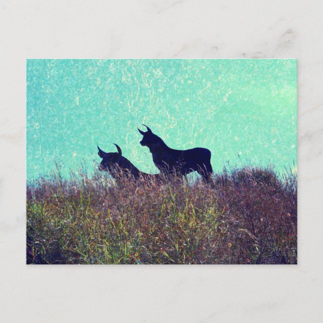 Cartão Postal Bull Mountain (Frente)