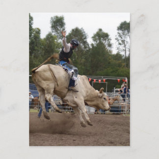 CARTÃO POSTAL BULL RIDING BERT