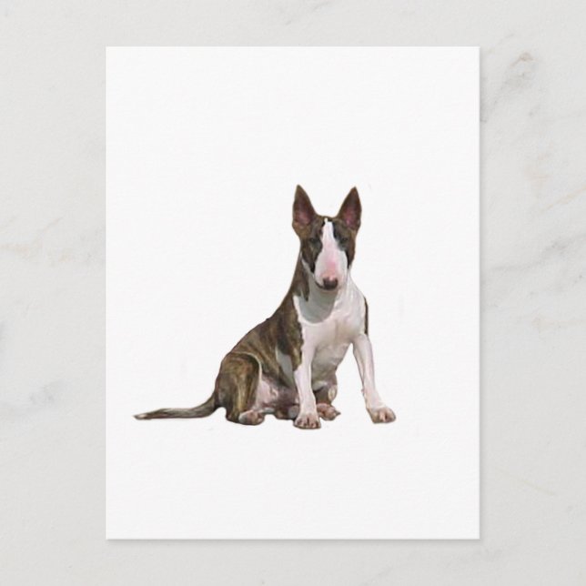 Cartão Postal Bull Terrier (B) - Tigrado e branco (Frente)